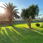 Mar Y Montana - 