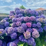 Hébergement de vacances Mar Y Montana - 