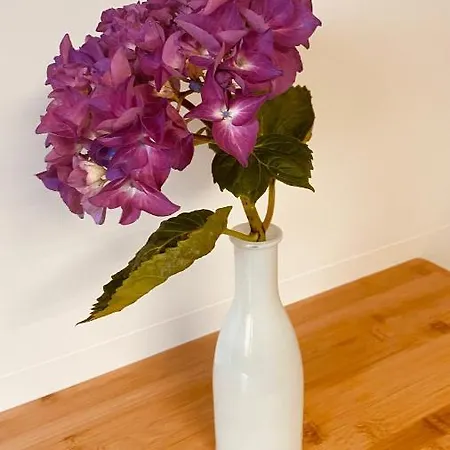 Mar Y Montaña - Casa Completa Privada