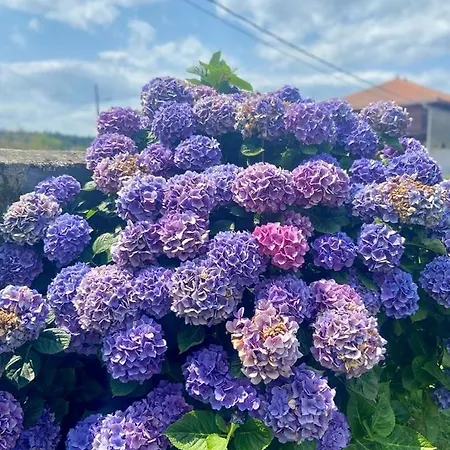 بيت للعطل Mar Y Montana - 