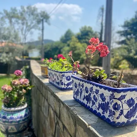 بيت للعطل Mar Y Montana - 